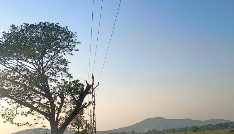 TPSODL commissions new 33 kV line benefiting 34000 Consumers
