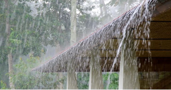 Rain