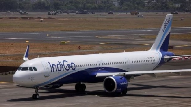 Indigo