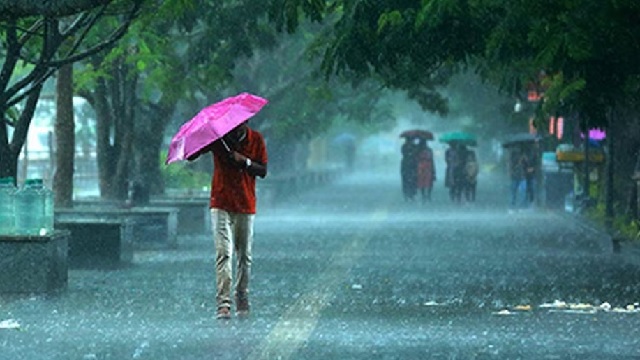 rain